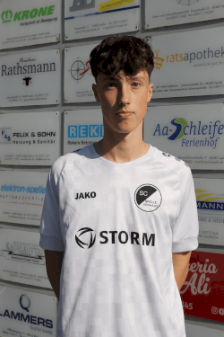 Hannes Boerger