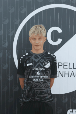 Tom Scheepers