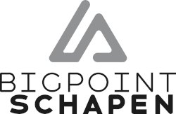 Big Point Niehuis Sport GmbH