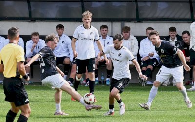 Spelle beweist im Schlagerspiel gegen Rehden Comeback-Qualität