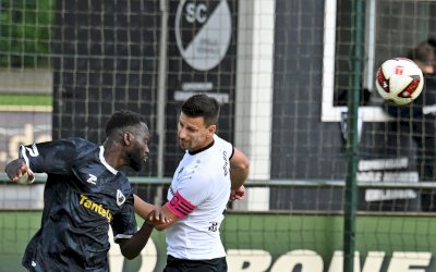Spelle beweist im Schlagerspiel gegen Rehden Comeback-Qualität