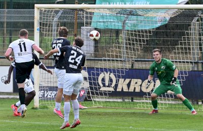 Spelle beweist im Schlagerspiel gegen Rehden Comeback-Qualität