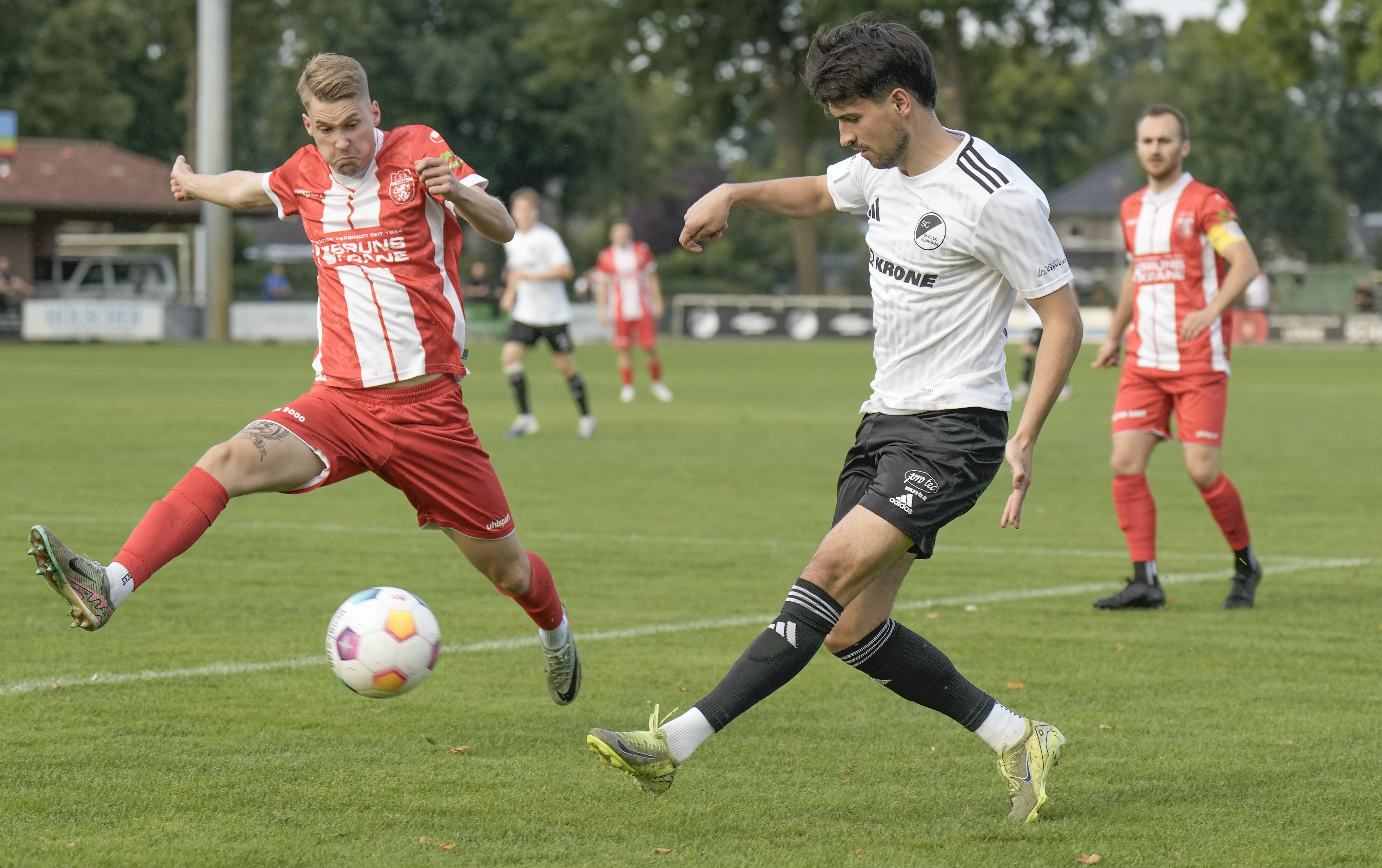 Neuer Fanclub treibt Spelle beim 1:1 gegen Lüneburg an